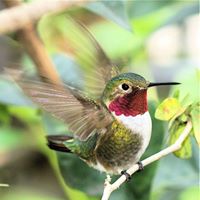 Suzanne Conrad Photo 14