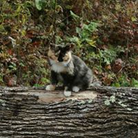 Mary Kiser Photo 32 Mary Kiser Photo 32