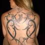 Joy Crain Photo 14
