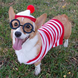 Carol Walden Photo 11