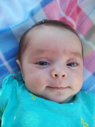 Annette Handy Photo 5