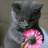 Debbie Costa Photo 29