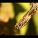 Russell Sharp Photo 9