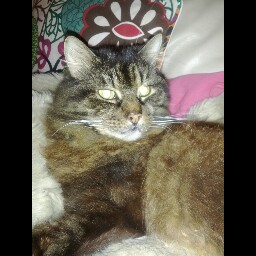 Linda Worthington Photo 34