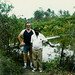 Brian Paradise Photo 16