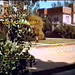 Allison House Photo 28