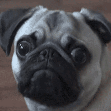 Julie Monroe Photo 31