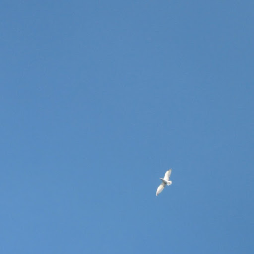 Frank Weber Photo 43 Frank Weber Photo 43