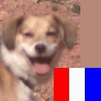 Floyd Myers Photo 11