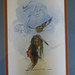 Johnny Hawk Photo 3