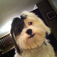 Kathy Enright Photo 20