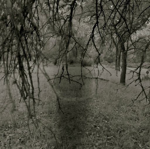 Susan Hunter Photo 38 Susan Hunter Photo 38