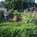 Dennis Cook Photo 25