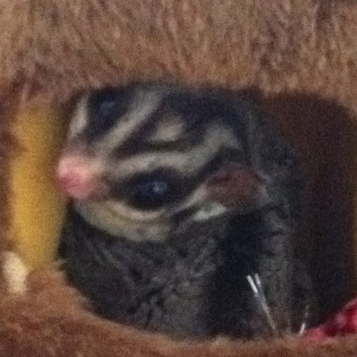 Traci Bates Photo 15