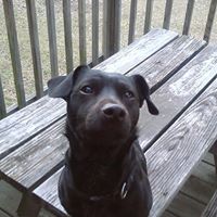 Jeffrey Rupp Photo 22 Jeffrey Rupp Photo 22