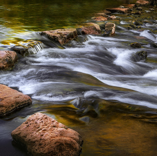 David Burger Photo 34