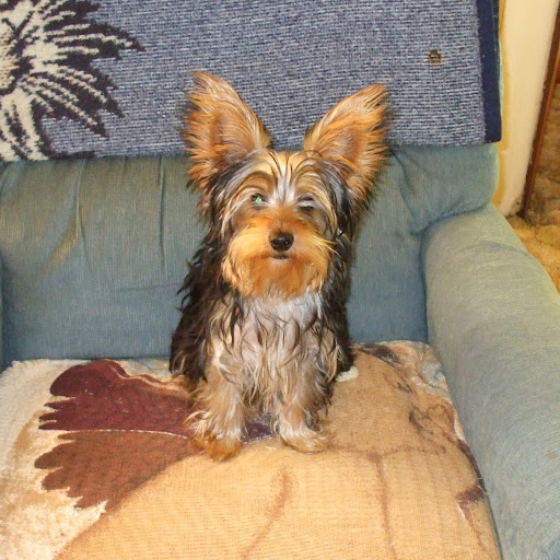 Barbara Franklin Photo 45 Barbara Franklin Photo 45