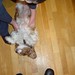 Charles Comerford Photo 9