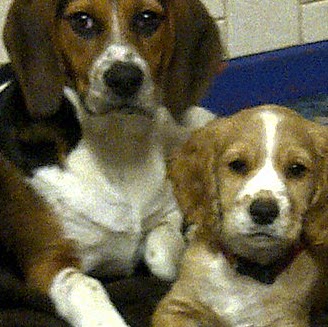 Carol Schofield Photo 11