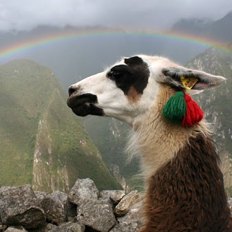 Christina Castillo Photo 12