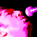 Tim Dodd Photo 13