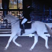 Holly James Photo 11