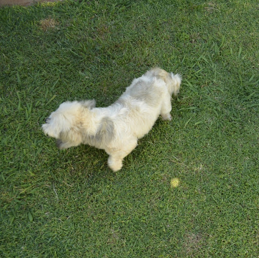 Dorothy Osborne Photo 29