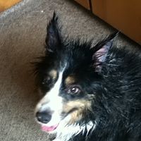 Teresa Rasmussen Photo 27