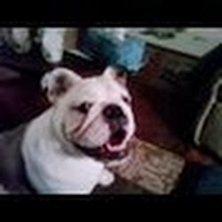 John Potts Photo 6 John Potts Photo 6