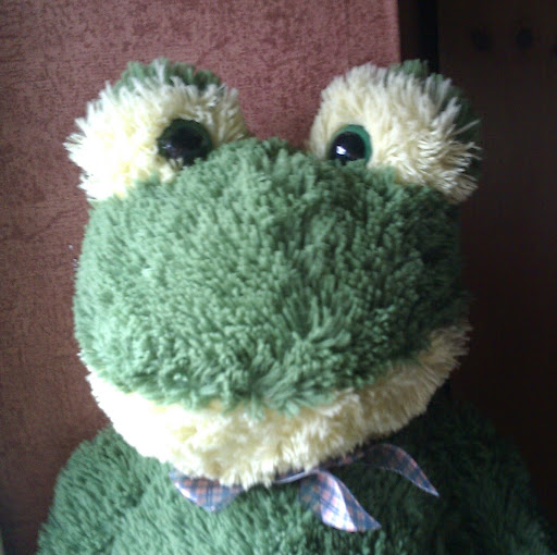 David Schuler Photo 20