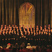 Susan Cornelius Photo 31