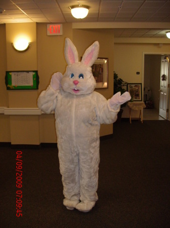 Alison Robbins Photo 22