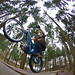 Dave Marshall Photo 10