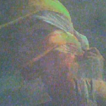 Howard Collins Photo 19