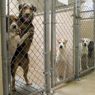 Bonnie Ingram Photo 25