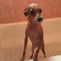 Juan Pereira Photo 20 Juan Pereira Photo 20