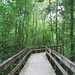 John Sargeant Photo 12