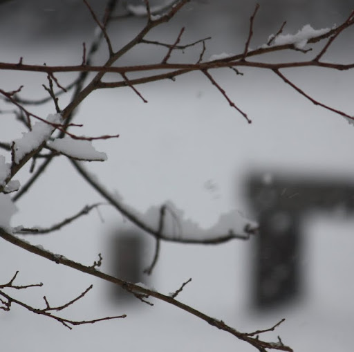 Paul Ray Photo 15