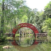 Janet Rafferty Photo 7