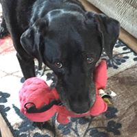 Kathlene Cook Photo 8