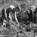 Gerald Rust Photo 10