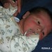 Ronald Monroe Photo 18