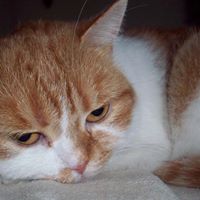 Sylvia Reinhardt Photo 7