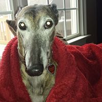 Michael Belk Photo 28