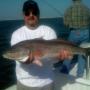 Jerry Hampton Photo 19