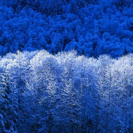 Allen Perry Photo 29