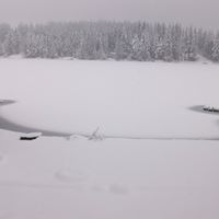 Jeri Nicholson Photo 9