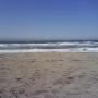 Marcia King Photo 29