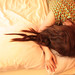 Beth Cohen Photo 24