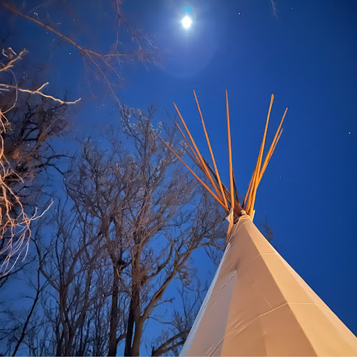 Tracy Morrison Photo 44